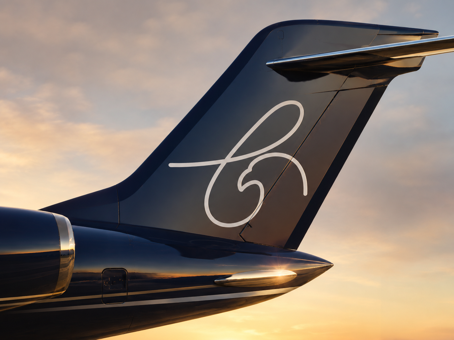 Blue Eagle aircraft tail monogram close-up